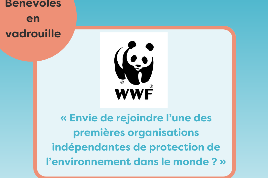 Bénévoles en vadrouille chez le WWF : “Envie de rejoindre l’une des premières organisations indépendantes de protection de l’environnement dans le monde ?”