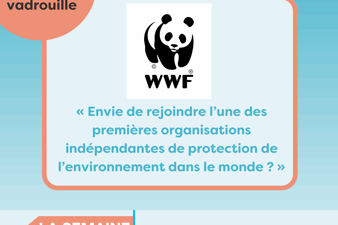 Bénévoles en vadrouille chez le WWF : “Envie de rejoindre l’une des premières organisations indépendantes de protection de l’environnement dans le monde ?”