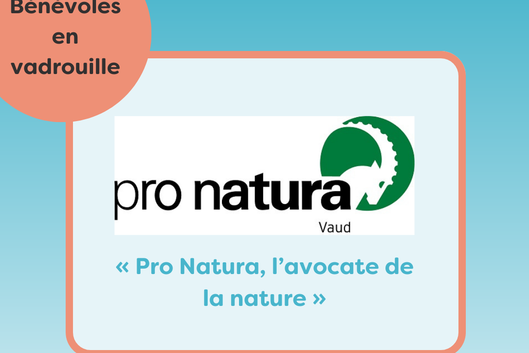 Bénévoles en vadrouille chez Pro Natura Vaud : « Pro Natura, l’avocate de la nature »