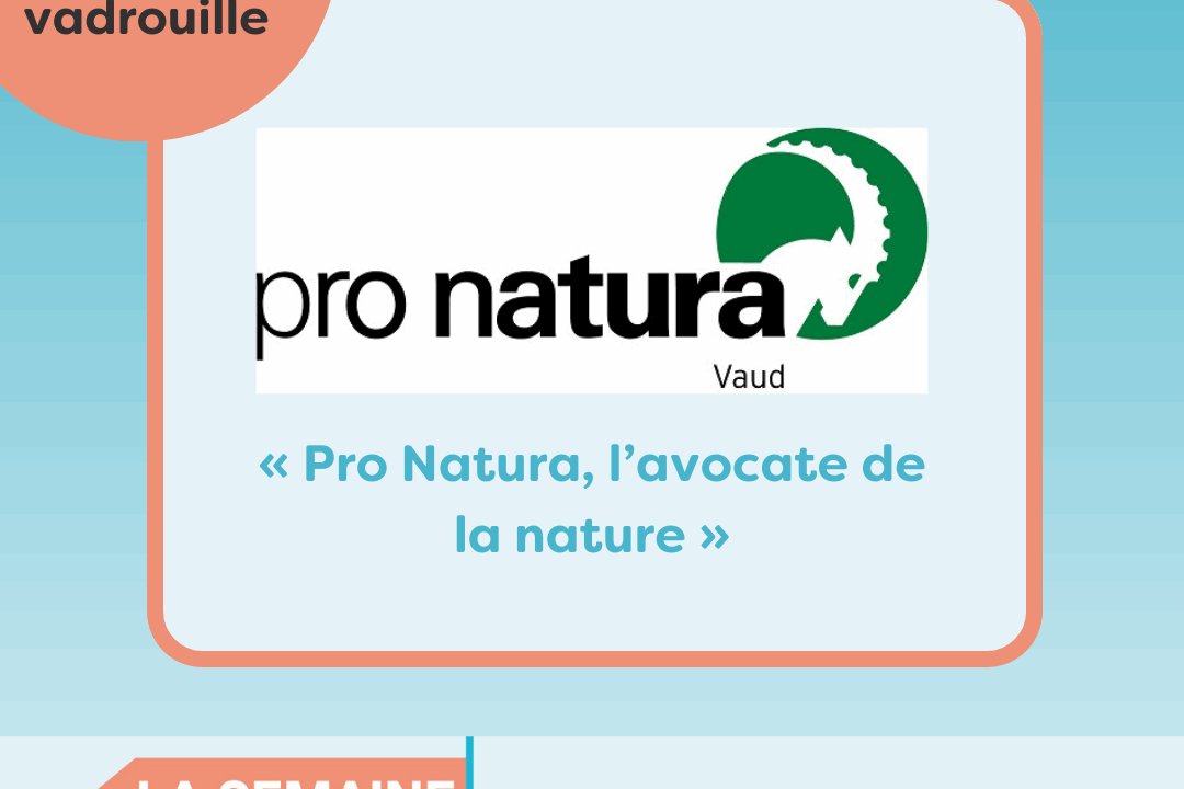 Bénévoles en vadrouille chez Pro Natura Vaud : « Pro Natura, l’avocate de la nature »